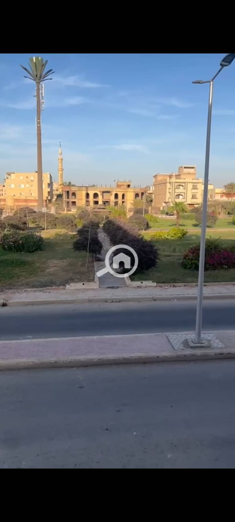 5 269553. jpg