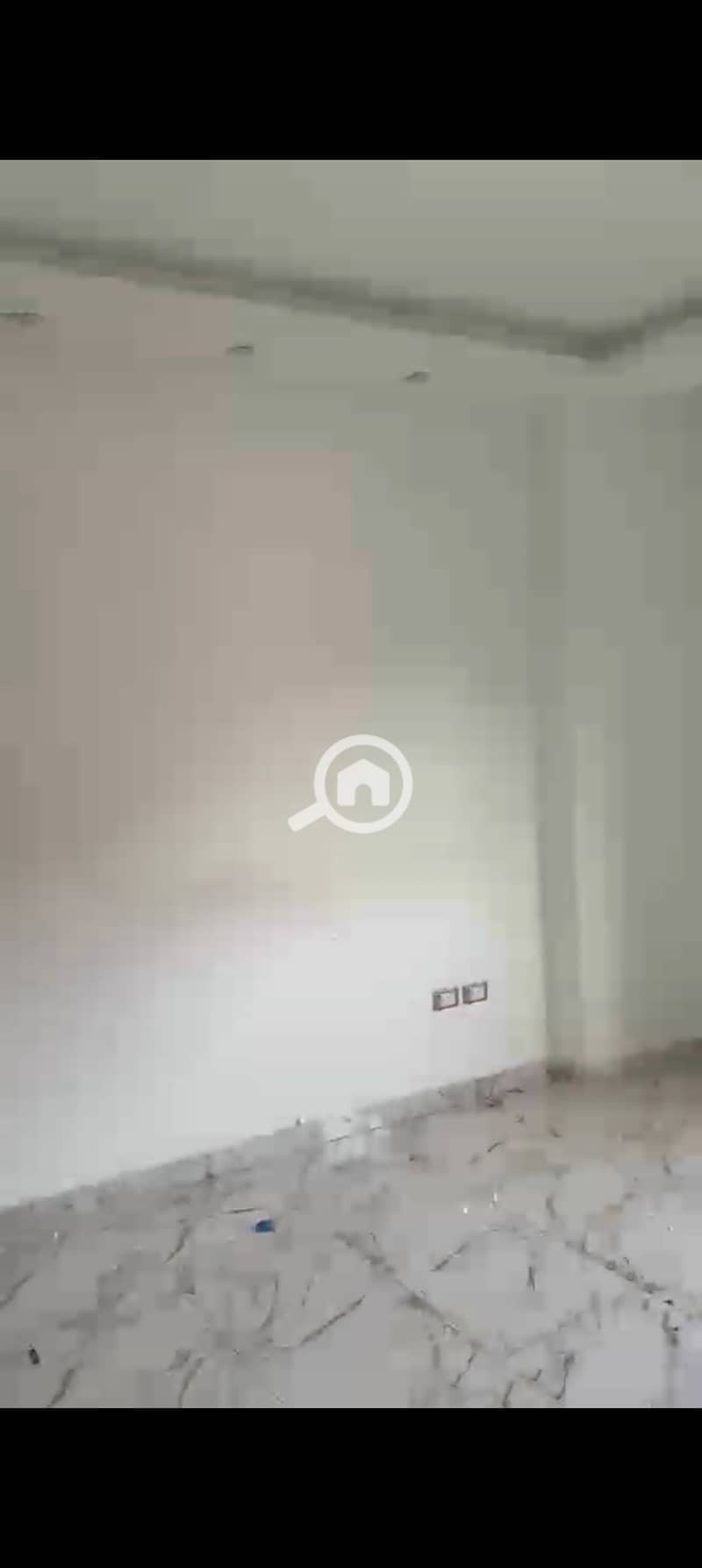 4 1001997945. jpg