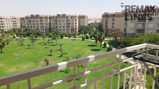 3 Bedroom Apartment for Rent in Madinaty, Cairo - 1001254465. jpg 3 Bedroom Apartment for Rent in Madinaty, Cairo - 1001254465. jpg