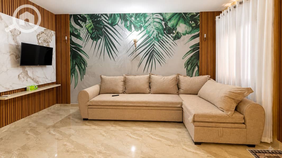 3 02-living-room-sofa-and-tv. jpg