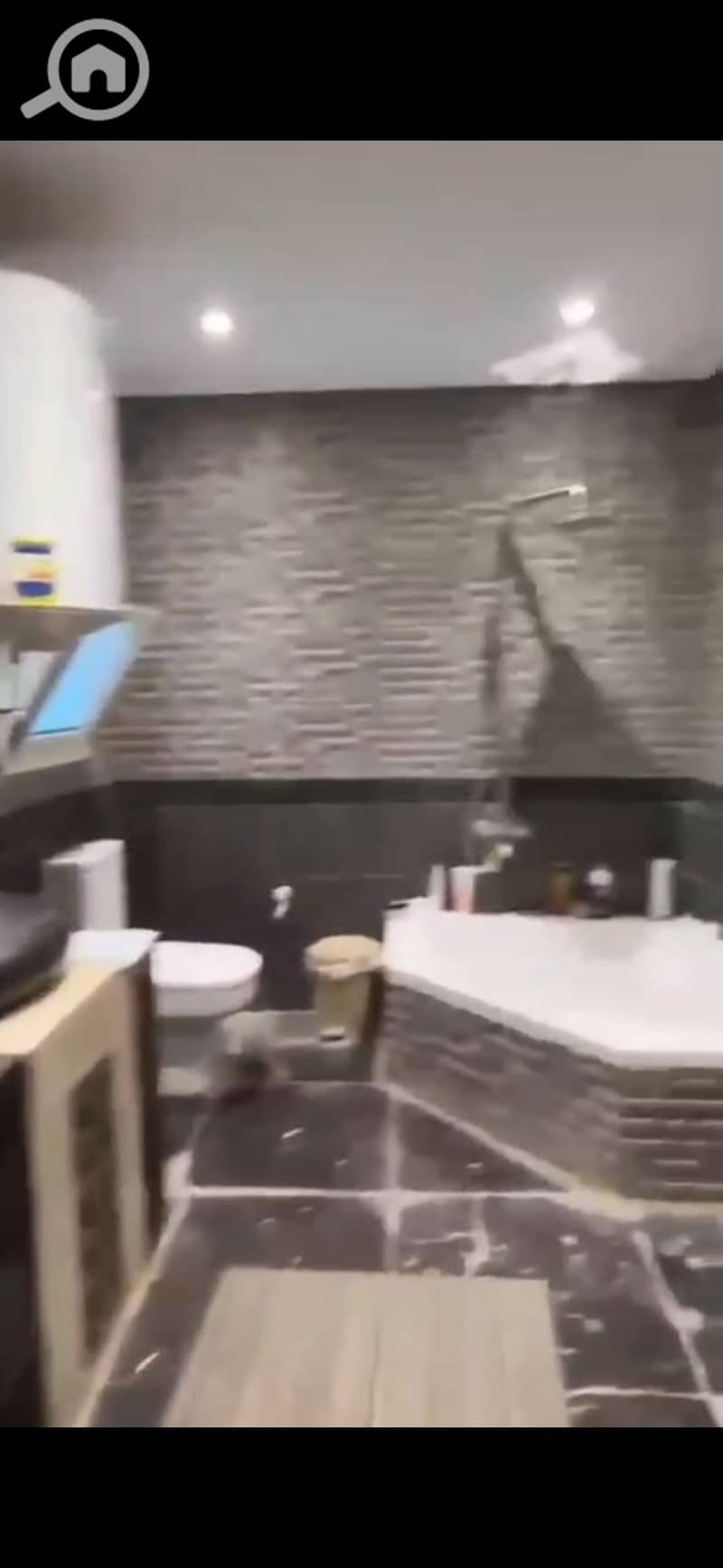 6 166325. jpg