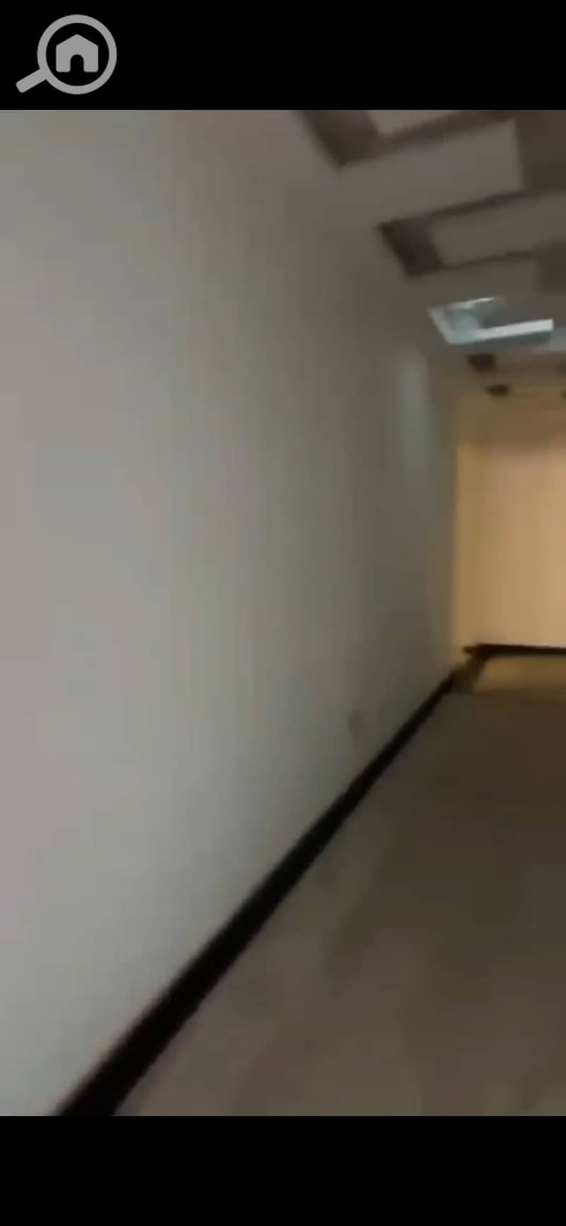 8 166323. jpg