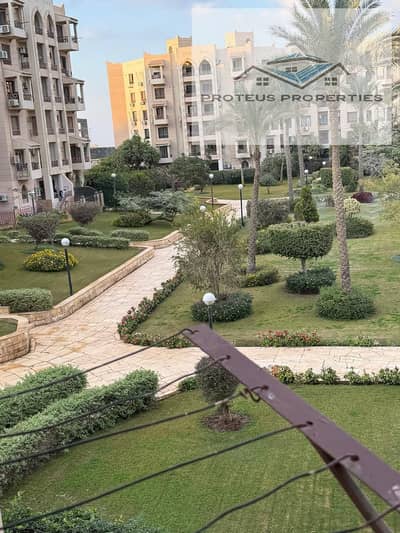 2 Bedroom Flat for Rent in New Cairo, Cairo - c0925c3f-51db-4d9e-8474-e4b5801d1dad. jpg 2 Bedroom Flat for Rent in New Cairo, Cairo - c0925c3f-51db-4d9e-8474-e4b5801d1dad. jpg