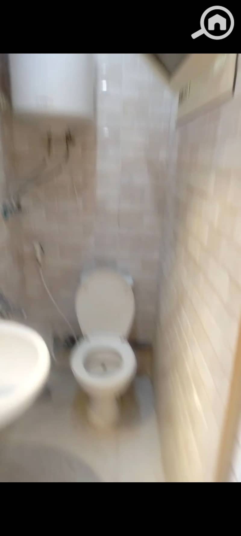 4 1000448951. jpg
