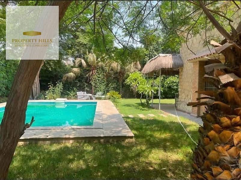 9 IMG_3105. jpeg