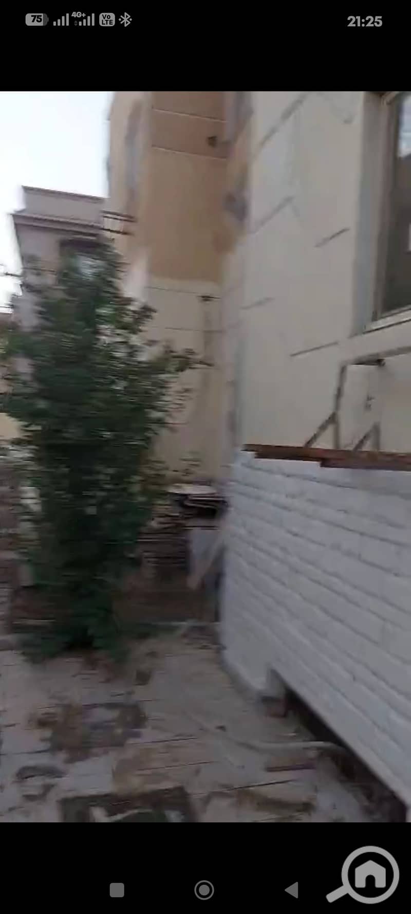 2 1000451989. jpg