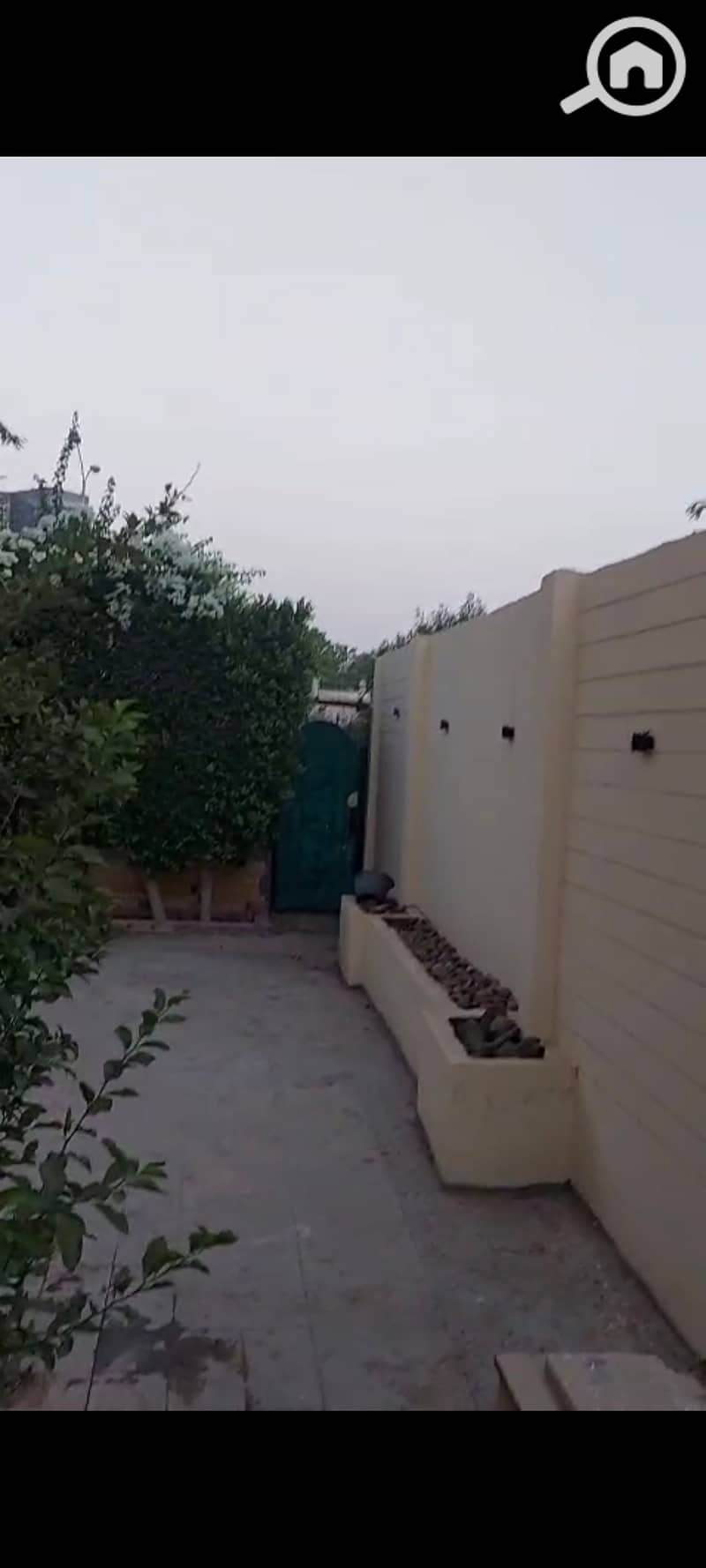 5 1000451990. jpg