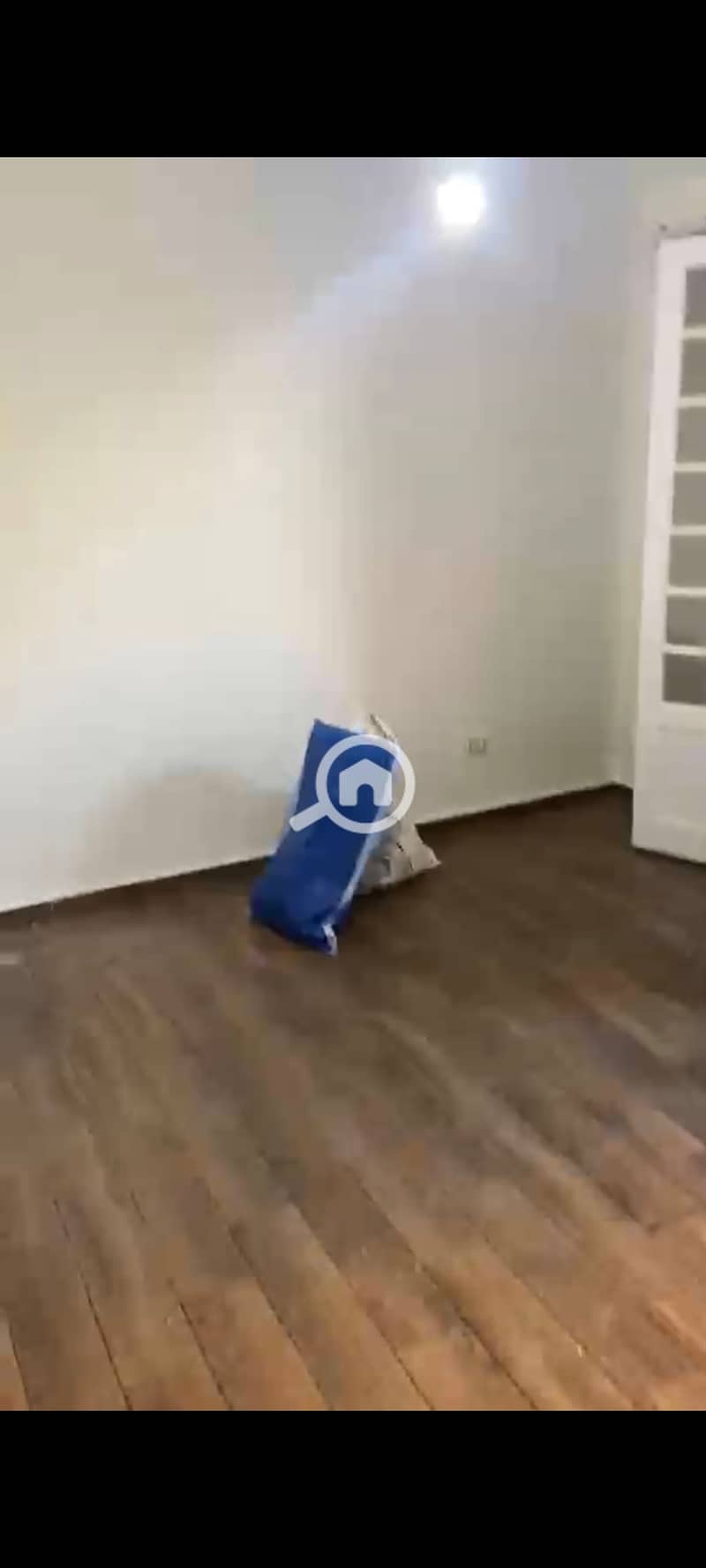 3 1000452040. jpg