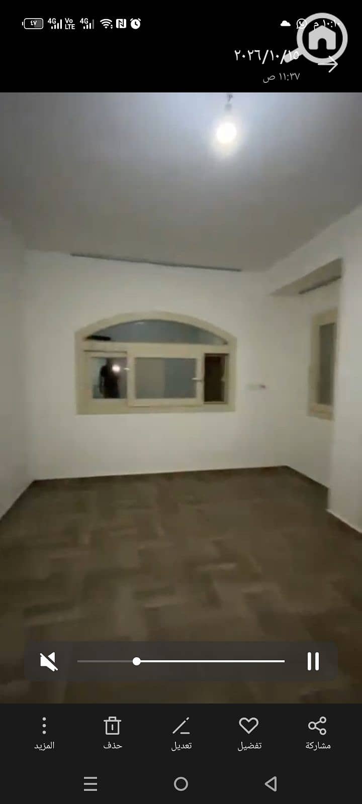 13 1000111981. jpg