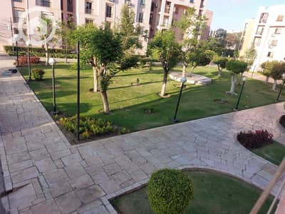 شقة 3 غرف نوم للايجار في القاهرة الجديدة، القاهرة - 396904. jpg شقة 3 غرف نوم للايجار في القاهرة الجديدة، القاهرة - 396904. jpg