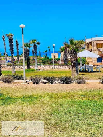 شاليه 2 غرفة نوم للبيع في الساحل الشمالي، مطروح - 1000269283. jpg شاليه 2 غرفة نوم للبيع في الساحل الشمالي، مطروح - 1000269283. jpg