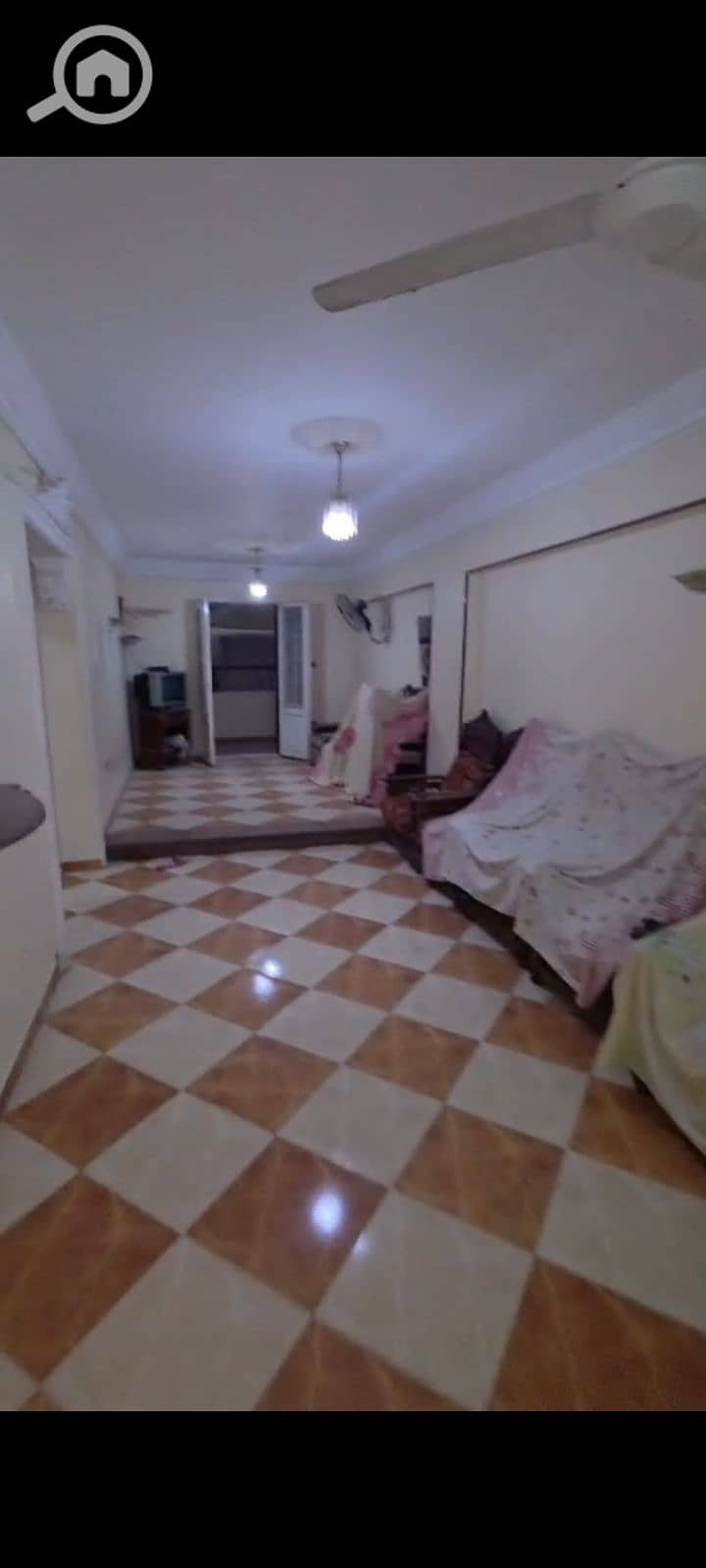 7 1000987333. jpg