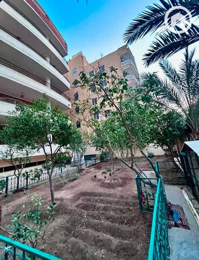 10+ Beds Other Residential for Sale in Hadayek al-Ahram, Giza - f3d78708-90d6-446b-ab0c-633d7a5bbb4a. jpeg 10+ Beds Other Residential for Sale in Hadayek al-Ahram, Giza - f3d78708-90d6-446b-ab0c-633d7a5bbb4a. jpeg