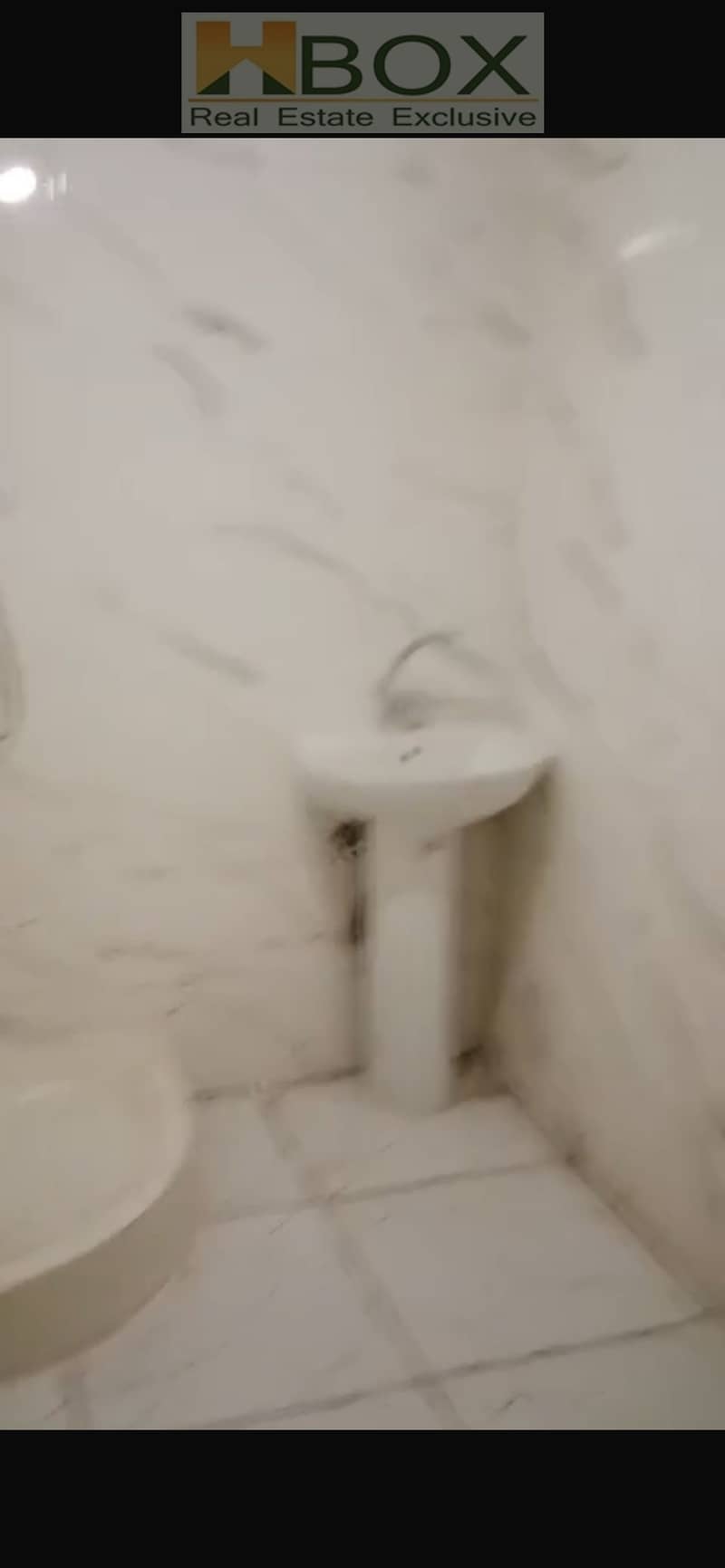 5 IMG_1258. png
