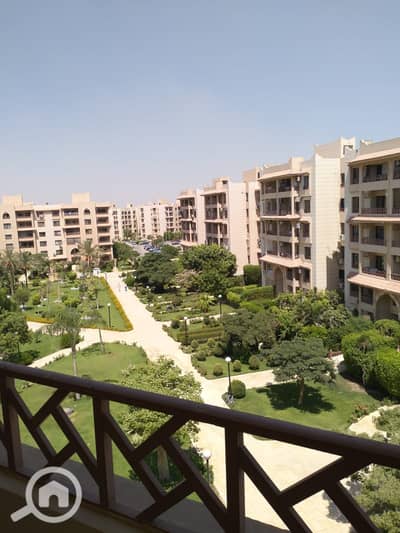 3 Bedroom Flat for Rent in New Cairo, Cairo - IMG-20261016-WA0046. jpg 3 Bedroom Flat for Rent in New Cairo, Cairo - IMG-20261016-WA0046. jpg