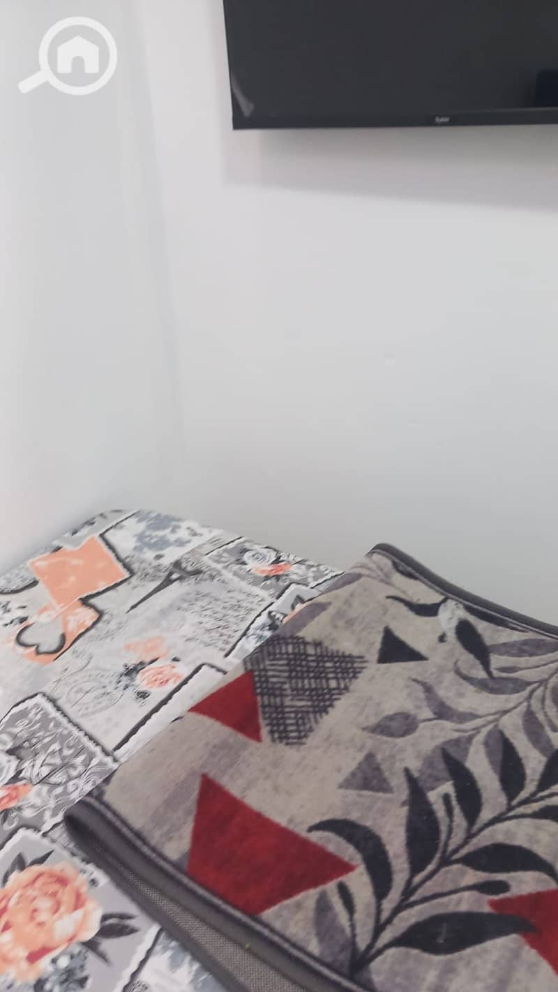 6 167054. jpg