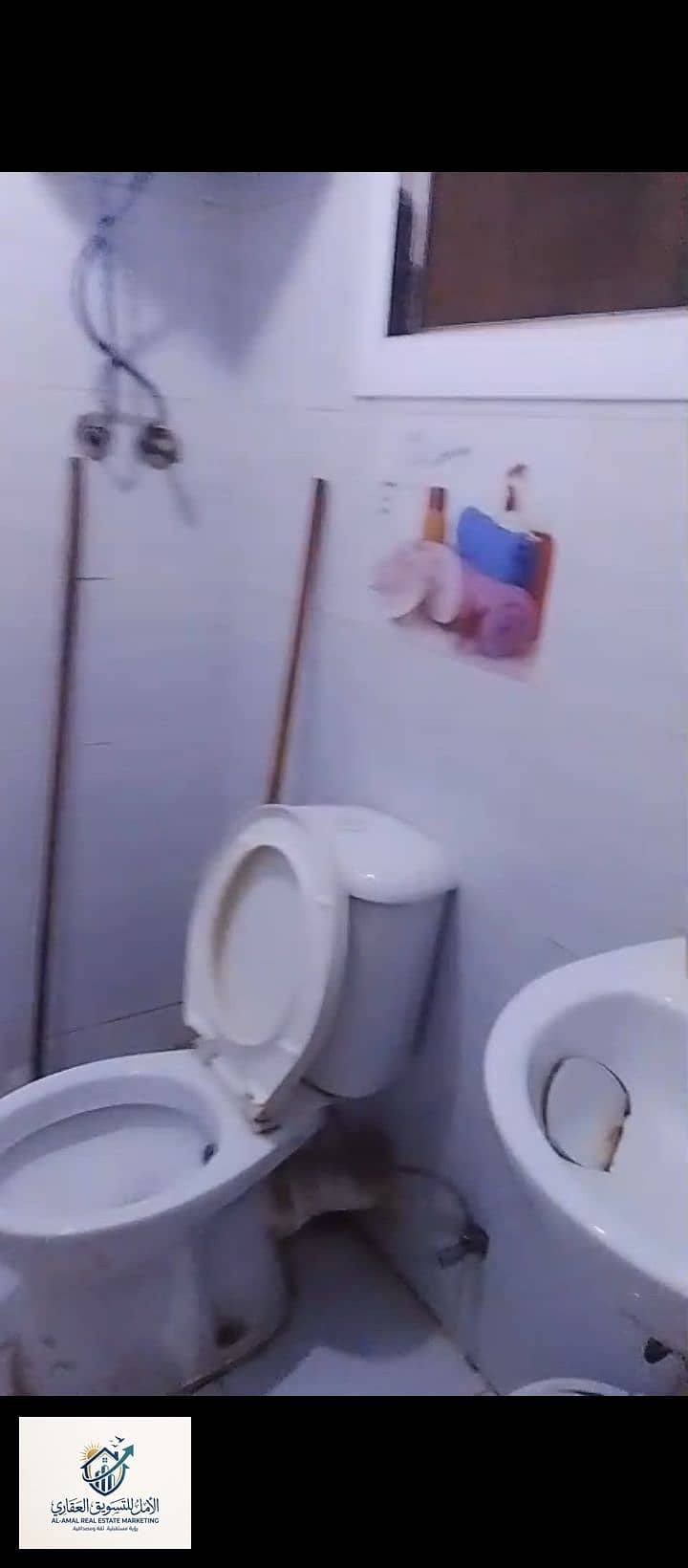 2 1000301636. jpg