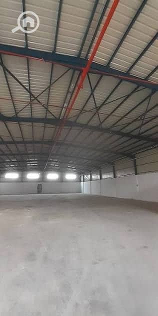Warehouse for Rent in Badr City, Cairo - . . . . jpeg Warehouse for Rent in Badr City, Cairo - . . . . jpeg