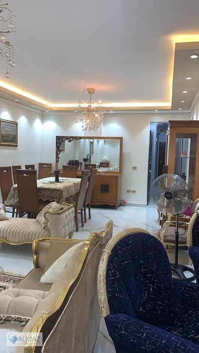 3 Bedroom Flat for Rent in New Cairo, Cairo - aba8f045-a918-4179-8409-db97ce2bcad2. jpeg 3 Bedroom Flat for Rent in New Cairo, Cairo - aba8f045-a918-4179-8409-db97ce2bcad2. jpeg