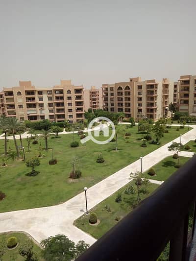 شقة 3 غرف نوم للايجار في القاهرة الجديدة، القاهرة - 693042. jpg شقة 3 غرف نوم للايجار في القاهرة الجديدة، القاهرة - 693042. jpg