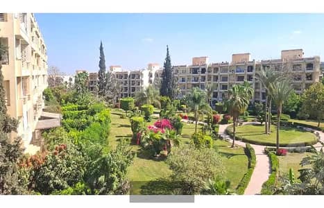فلیٹ 4 غرف نوم للبيع في الشيخ زايد، الجيزة - m9. jpg فلیٹ 4 غرف نوم للبيع في الشيخ زايد، الجيزة - m9. jpg