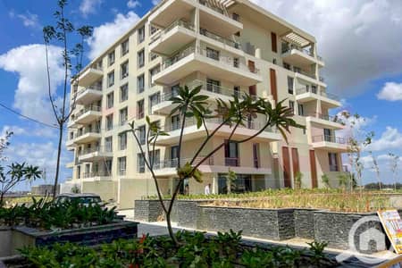 3 Bedroom Flat for Sale in Palm Hills, Alexandria - WhatsApp Image 2026-10-07 at 16.17. 01 (1). jpg 3 Bedroom Flat for Sale in Palm Hills, Alexandria - WhatsApp Image 2026-10-07 at 16.17. 01 (1). jpg