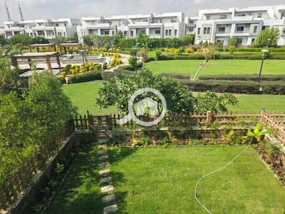 4 Bedroom Villa for Rent in Shorouk City, Cairo - 5. jpeg