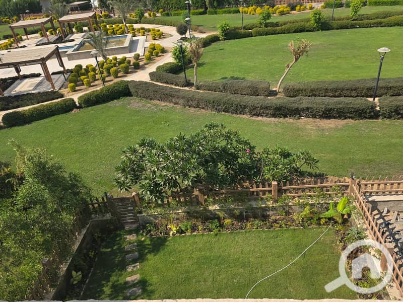 5 4. jpeg