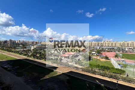 شقة 3 غرف نوم للايجار في سموحة، الإسكندرية - 1. jpg شقة 3 غرف نوم للايجار في سموحة، الإسكندرية - 1. jpg