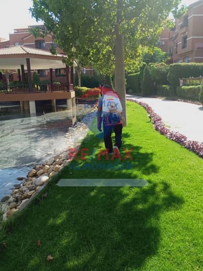فلیٹ 3 غرف نوم للبيع في الشيخ زايد، الجيزة - WhatsApp Image 2026-10-17 at 16.39. 18 (1). jpeg فلیٹ 3 غرف نوم للبيع في الشيخ زايد، الجيزة - WhatsApp Image 2026-10-17 at 16.39. 18 (1). jpeg