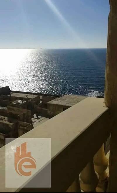 2 Bedroom Flat for Rent in Cleopatra, Alexandria - 839794077_1122896093651775_7215079541888538879_n. jpg 2 Bedroom Flat for Rent in Cleopatra, Alexandria - 839794077_1122896093651775_7215079541888538879_n. jpg