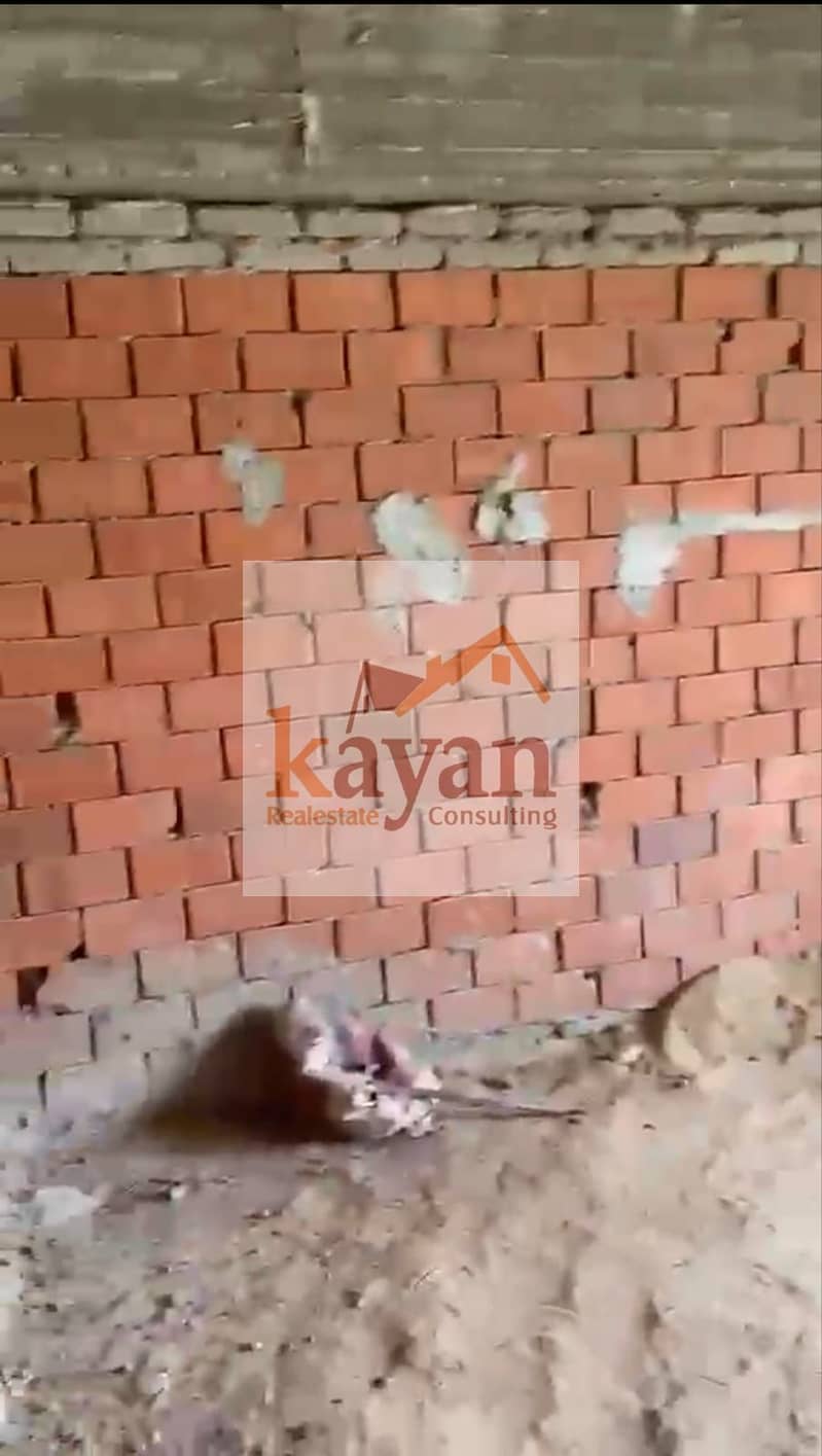 9 WhatsApp Image 2026-10-11 at 3.30. 39 PM (2). jpeg