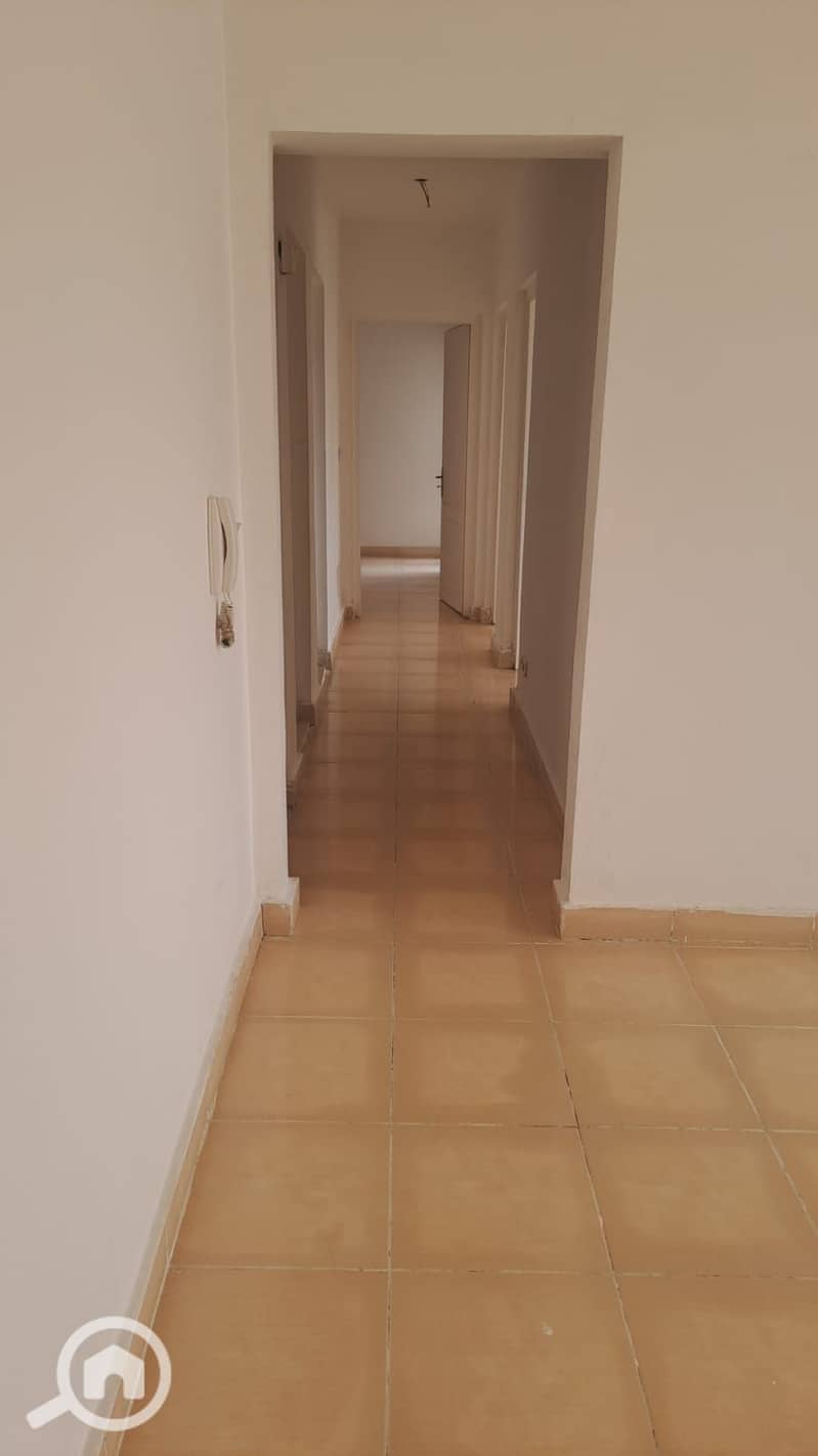 6 388017. jpg