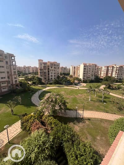 3 Bedroom Apartment for Rent in Madinaty, Cairo - 1000998027. jpg 3 Bedroom Apartment for Rent in Madinaty, Cairo - 1000998027. jpg
