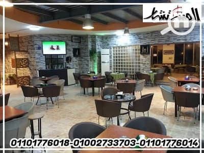Restaurant & Cafe for Rent in Nasr City, Cairo - 63aee650-69f1-44fa-80fa-16df3d36b61e. jpeg Restaurant & Cafe for Rent in Nasr City, Cairo - 63aee650-69f1-44fa-80fa-16df3d36b61e. jpeg