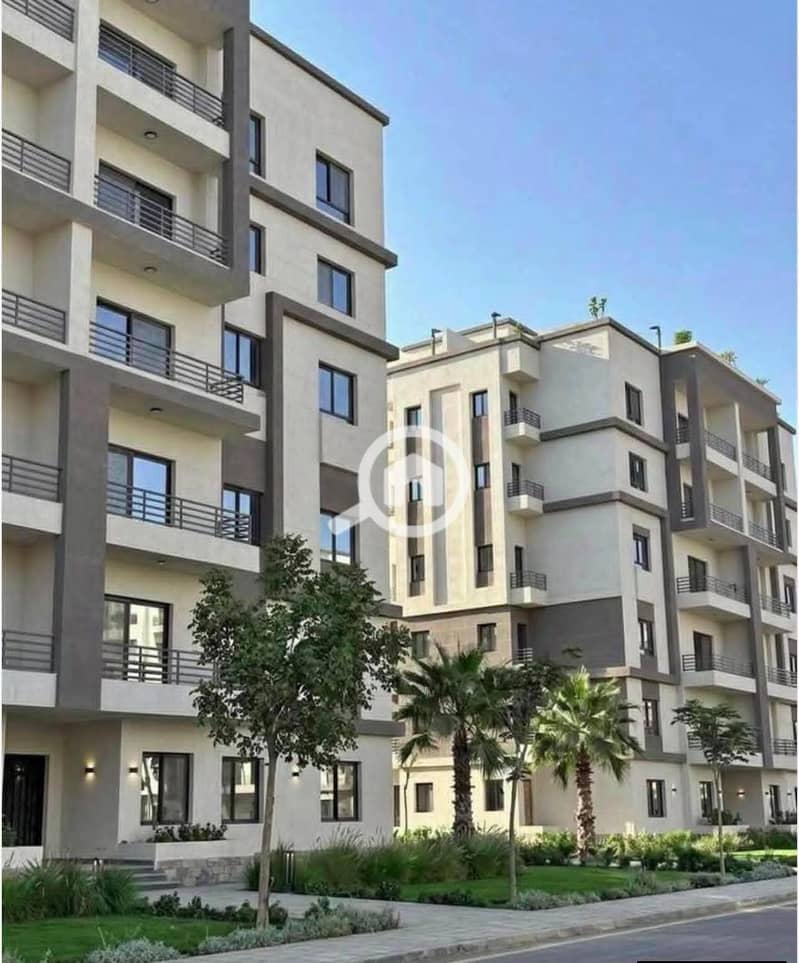 7 1000025186. jpg