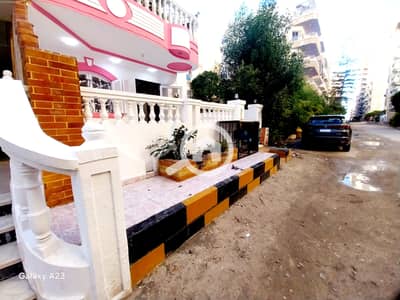 شقة 2 غرفة نوم للبيع في النخيل، الإسكندرية - 1000534020. heic شقة 2 غرفة نوم للبيع في النخيل، الإسكندرية - 1000534020. heic
