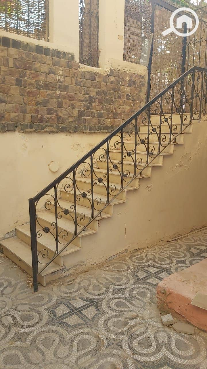 6 1001498254. jpg