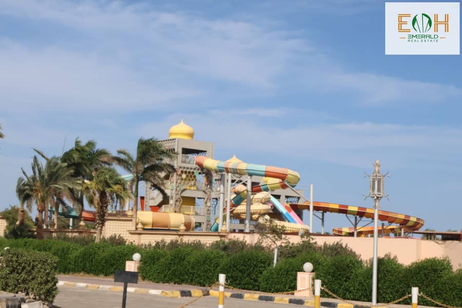 2 IMG_3925. JPG