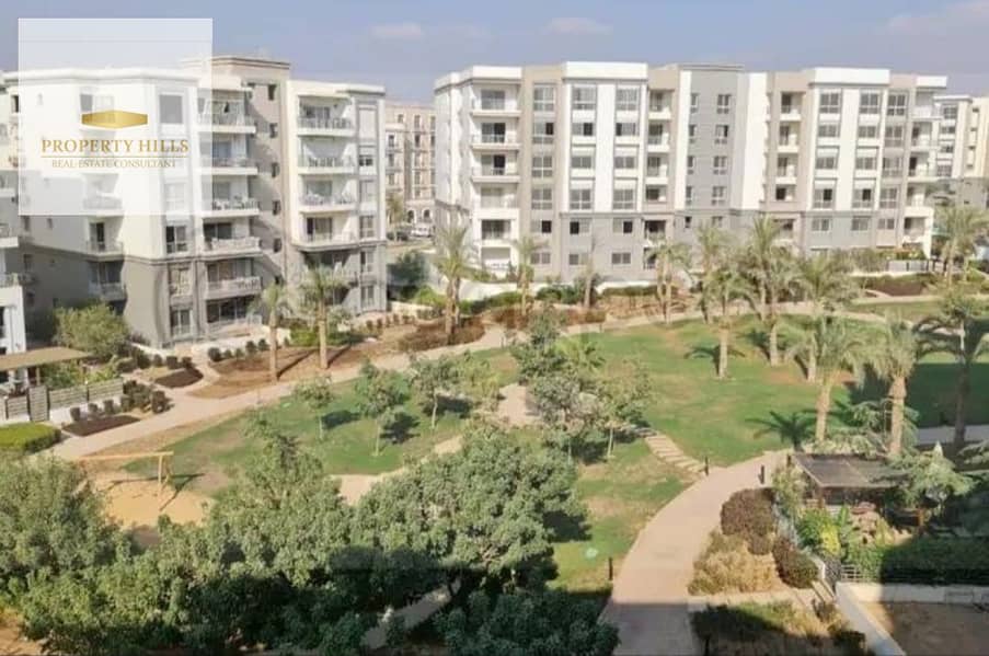 10 6a3cec88-0e8c-49c6-bc66-f682a14eae47. jpg