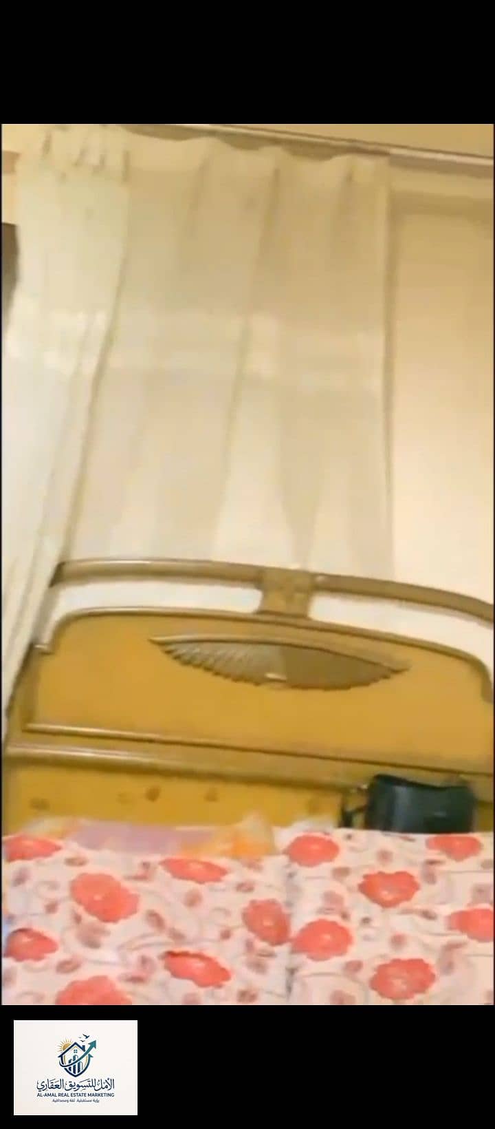 7 1000302593. jpg