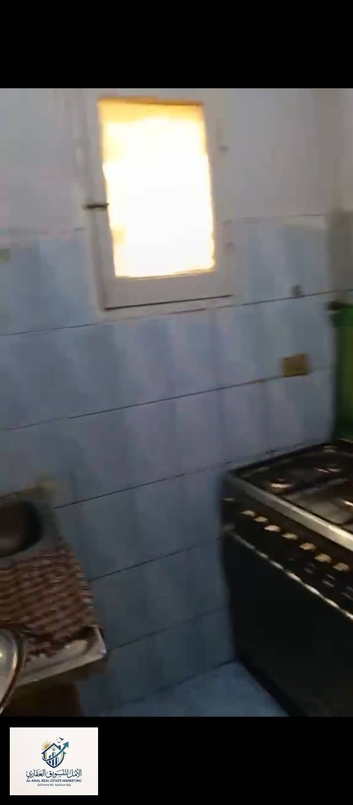 11 1000302647. jpg
