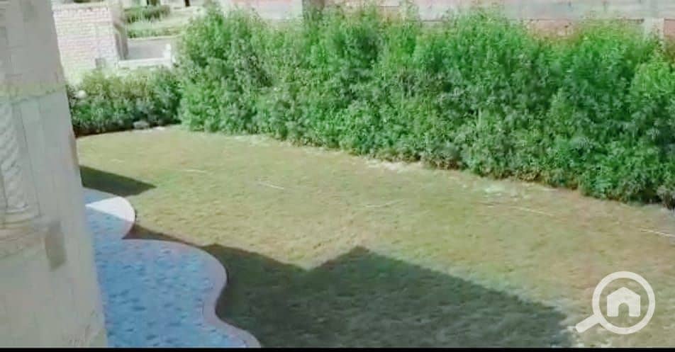 5 24090. jpg