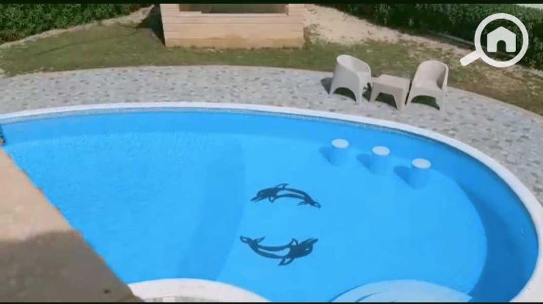 7 24092. jpg