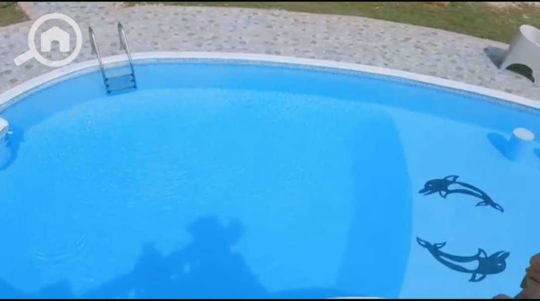 8 24093. jpg