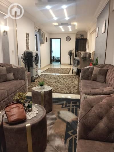 3 Bedroom Apartment for Rent in Miami, Alexandria - 210245. jpg