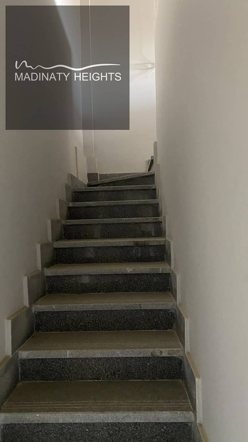 7 136897. jpg