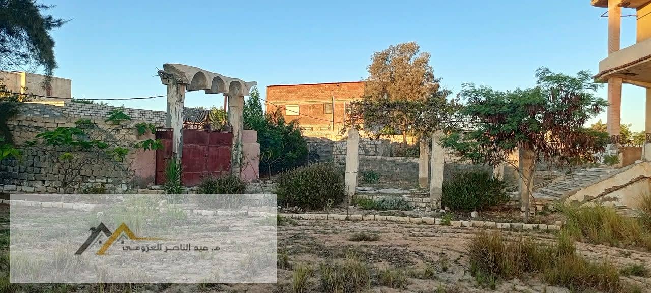 18 1001724920. jpg