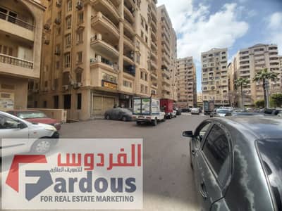Office for Rent in Smoha, Alexandria - 9434. jpg