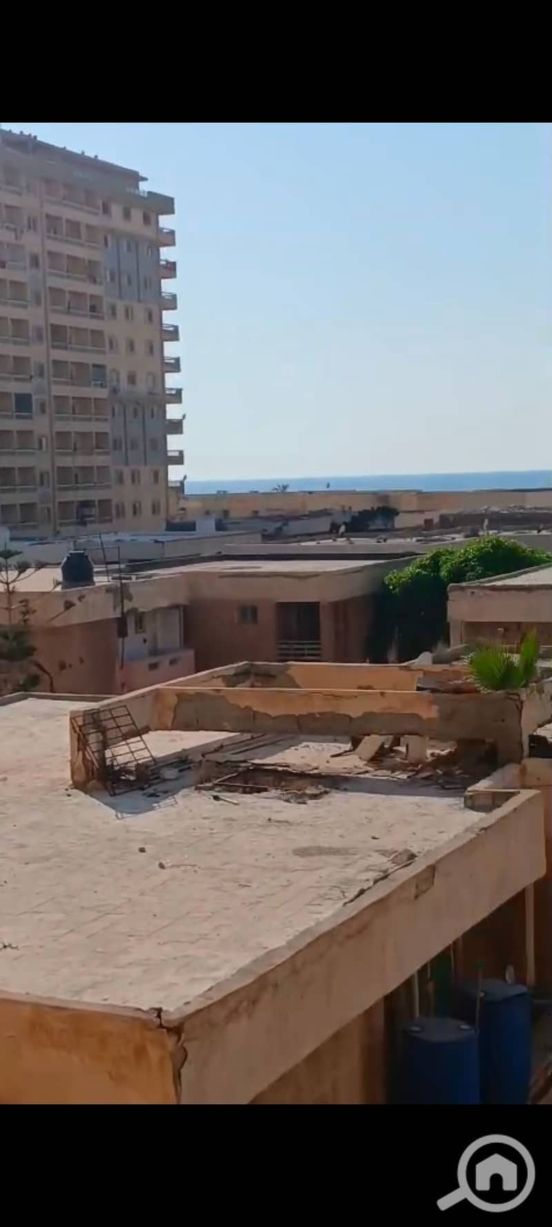 4 139448. jpg